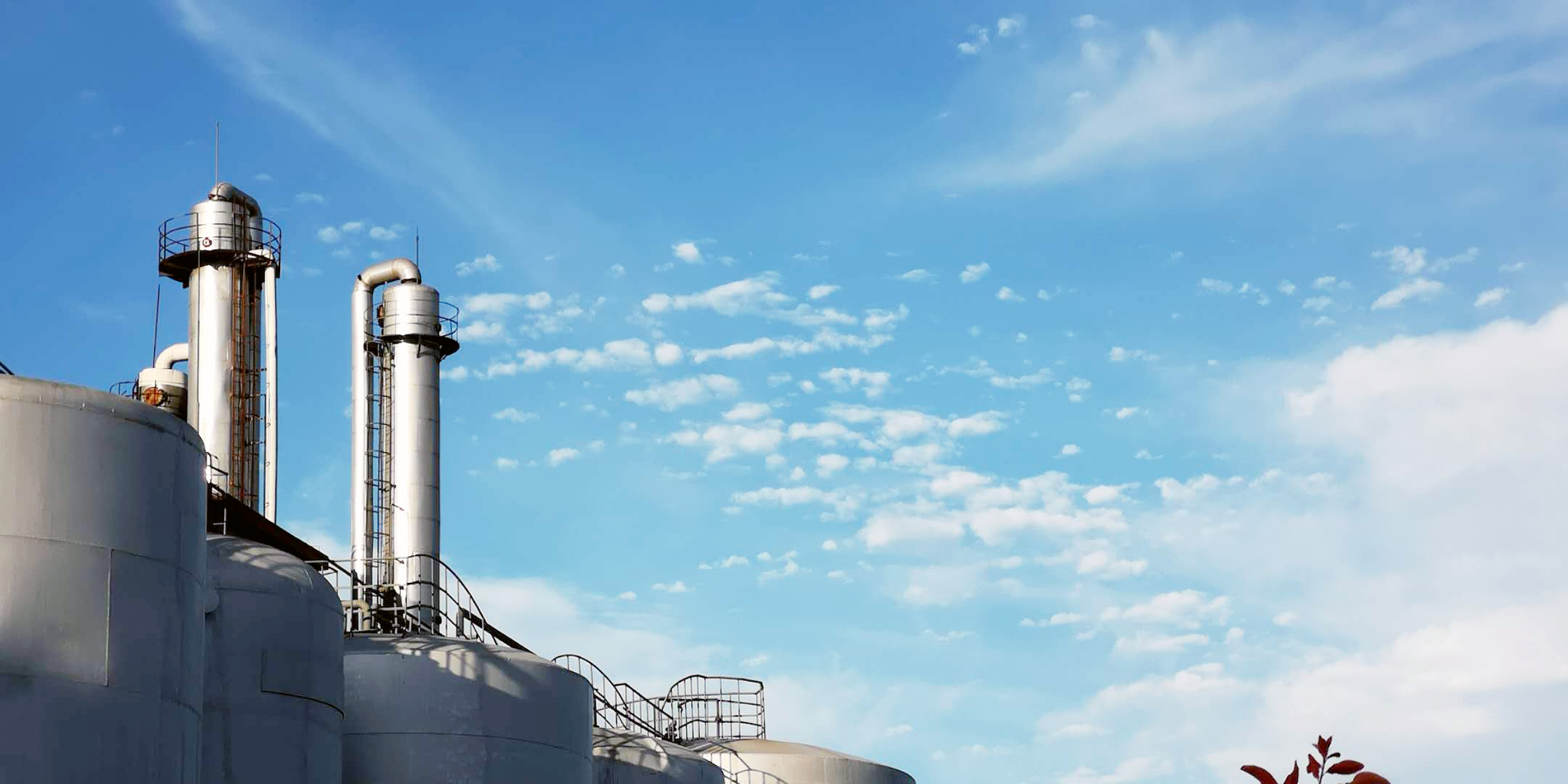 欽州港經濟開發區管理委員會領導來司調研